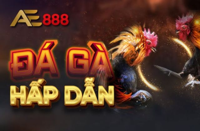 Đá gà ae888